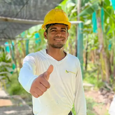 trabajador de planta bananera magdalena colombia banaplus